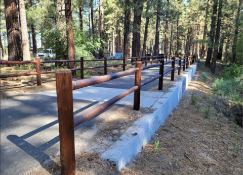 big bear logo trail